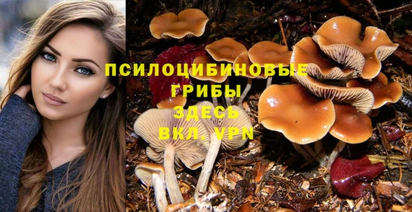 бошки Богородицк