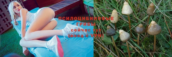 бошки Богородицк