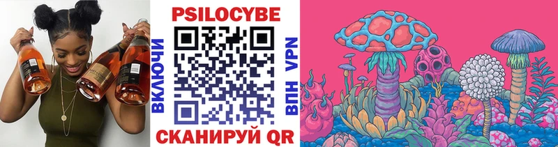 Галлюциногенные грибы Magic Shrooms  закладки  Кемерово 